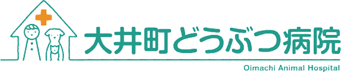 大井町動物病院