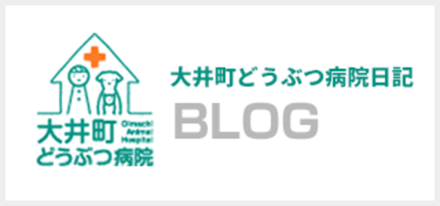 大井町どうぶつ病院日記