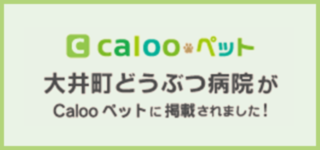 大井町どうぶつ病院がCalooペットに掲載されました！